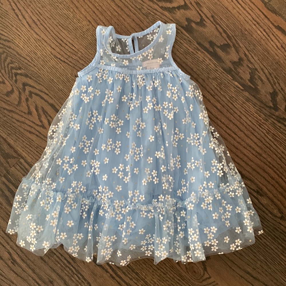 Kids Catherine Malandrino size 2t. Runs true to size